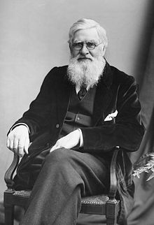 Alfred Russel Wallace Quotes