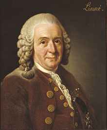 Carolus Linnaeus Quotes