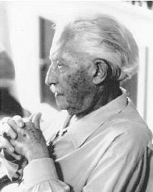 Erik Erikson Quotes