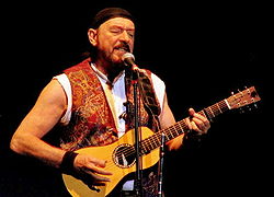Ian Anderson Quotes