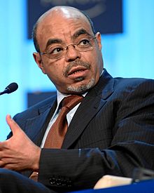 Meles Zenawi Quotes