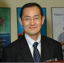 Shinya Yamanaka Quotes