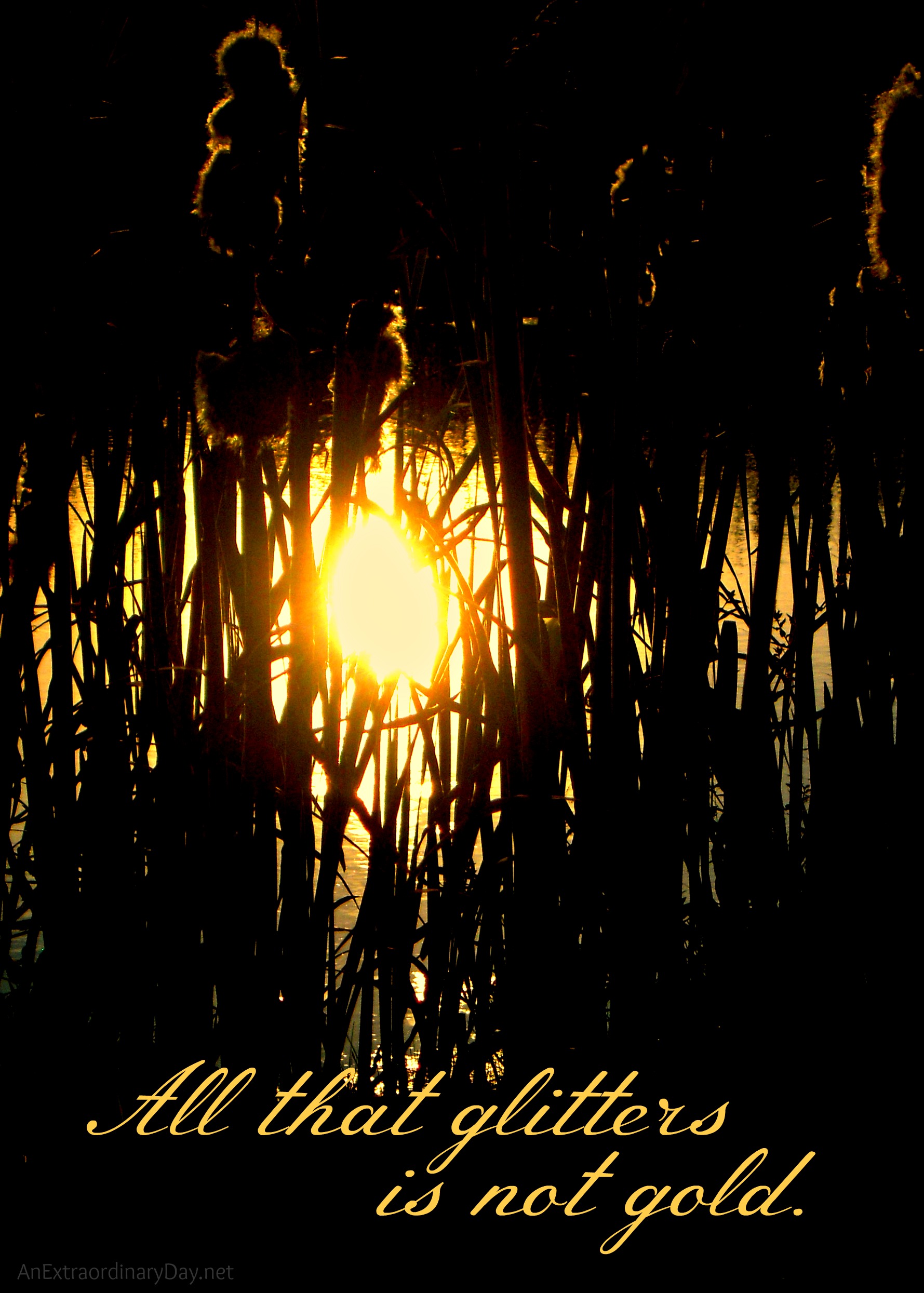 All That Glitters Is Not Gold Essay