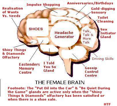 Brains are better than beauty essay