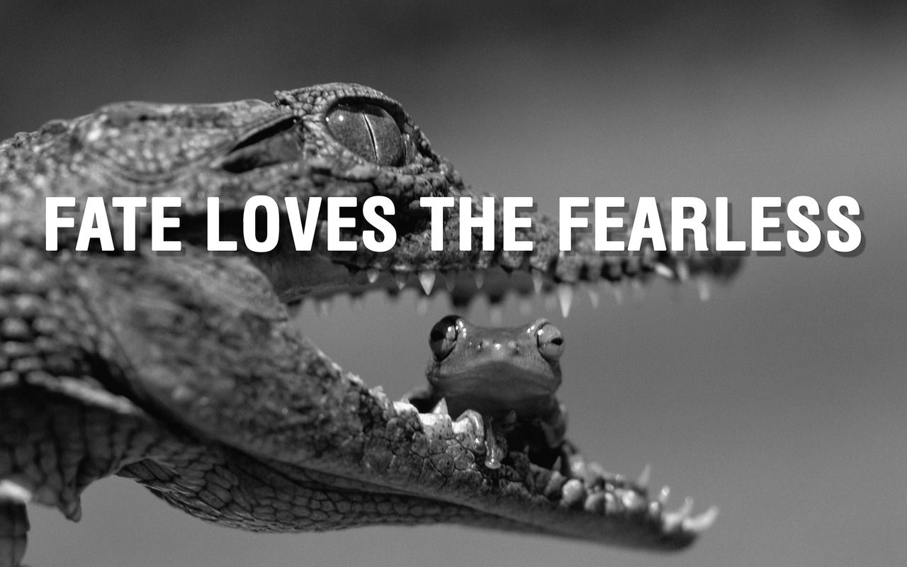 Fearless Sports Quotes. QuotesGram