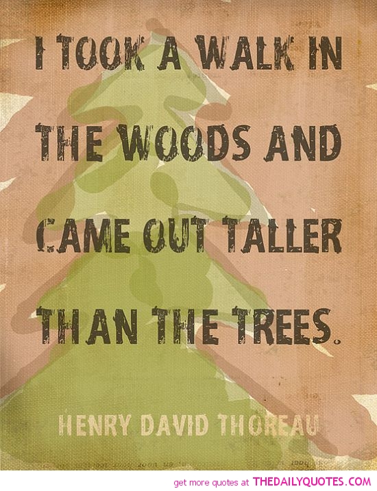 transcendentalism according to ralph emerson david thoreau and emily dickinson Though emily dickinson cannot be wholly deemed a transcendentalist a link to alcott's reminiscences of ralph waldo emerson can be found on the links page of this website thoreau noted emerson's intense dedication to both his work and his ideologies drawing from his own. transcendentalism according to ralph emerson david thoreau and emily dickinson Though emily dickinson cannot be wholly deemed a transcendentalist a link to alcott's reminiscences of ralph waldo emerson can be found on the links page of this website thoreau noted emerson's intense dedication to both his work and his ideologies drawing from his own.