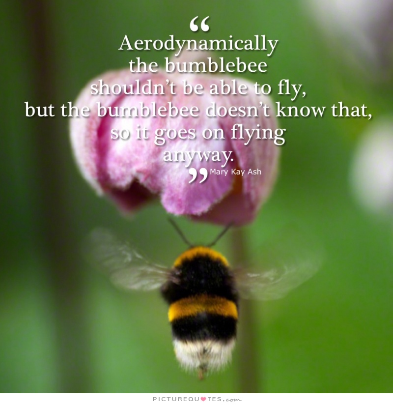 Bumblebee Quotes. QuotesGram Bumblebee Quotes. QuotesGram
