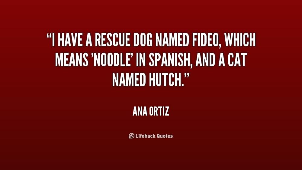 Dog Day Of Summer Quotes Dog Day Of Summer Quotes