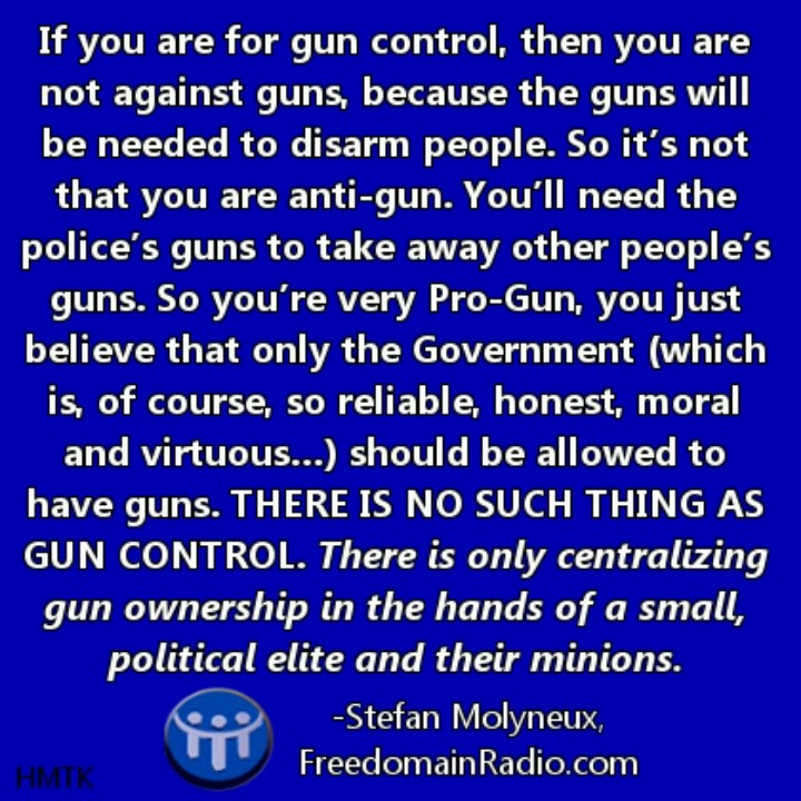 quotes about guns essay quotes about guns essay