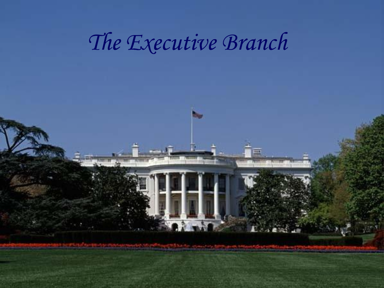 Executive Branch Quotes. QuotesGram