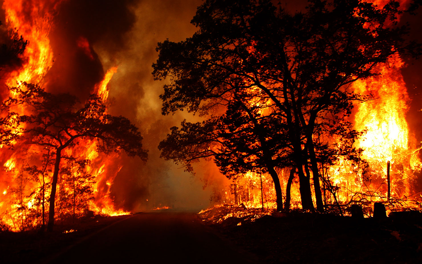 Вогнеборці ліквідували вісім пожеж в екосистемах Львівщини