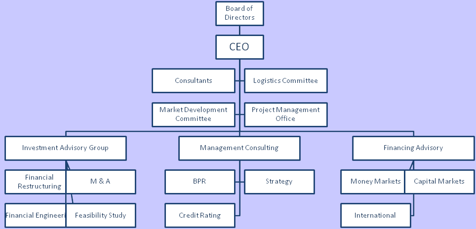 Essay on international business structure and strategy