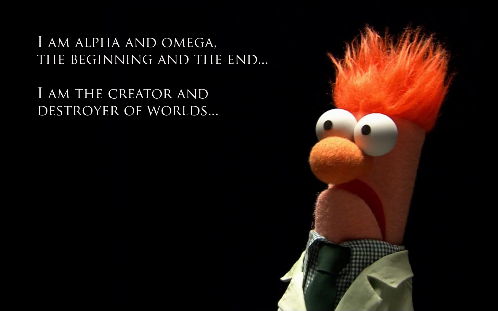 Funny Muppet Quotes. QuotesGram1680 x 1050