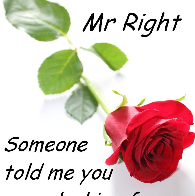 funny flirty quotes for her Funny flirty quotes - funny quotes about flirty - a little humor for your day from my large collection of funny quotes about life. funny flirty quotes for her Funny flirty quotes - funny quotes about flirty - a little humor for your day from my large collection of funny quotes about life.