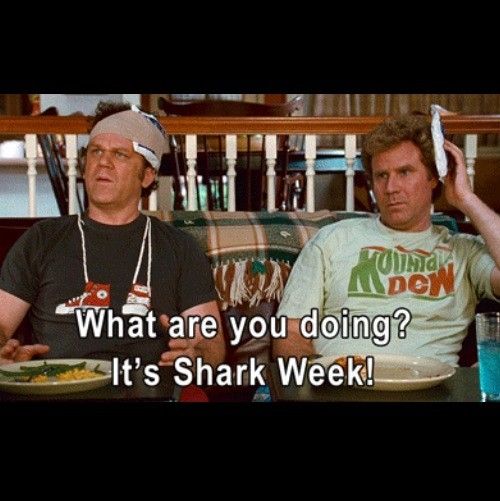 Step Brothers Quotes Shark Week Quotesgram