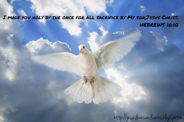bible quotes about doves quotesgram bible quotes about doves quotesgram
