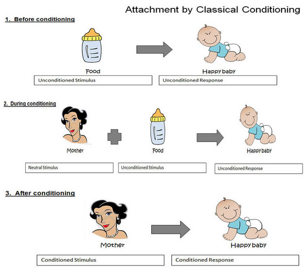 classical conditioning paper classical conditioning paper