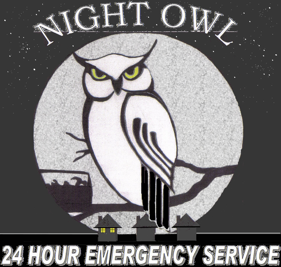 night owl,early bird quotes being a night owl