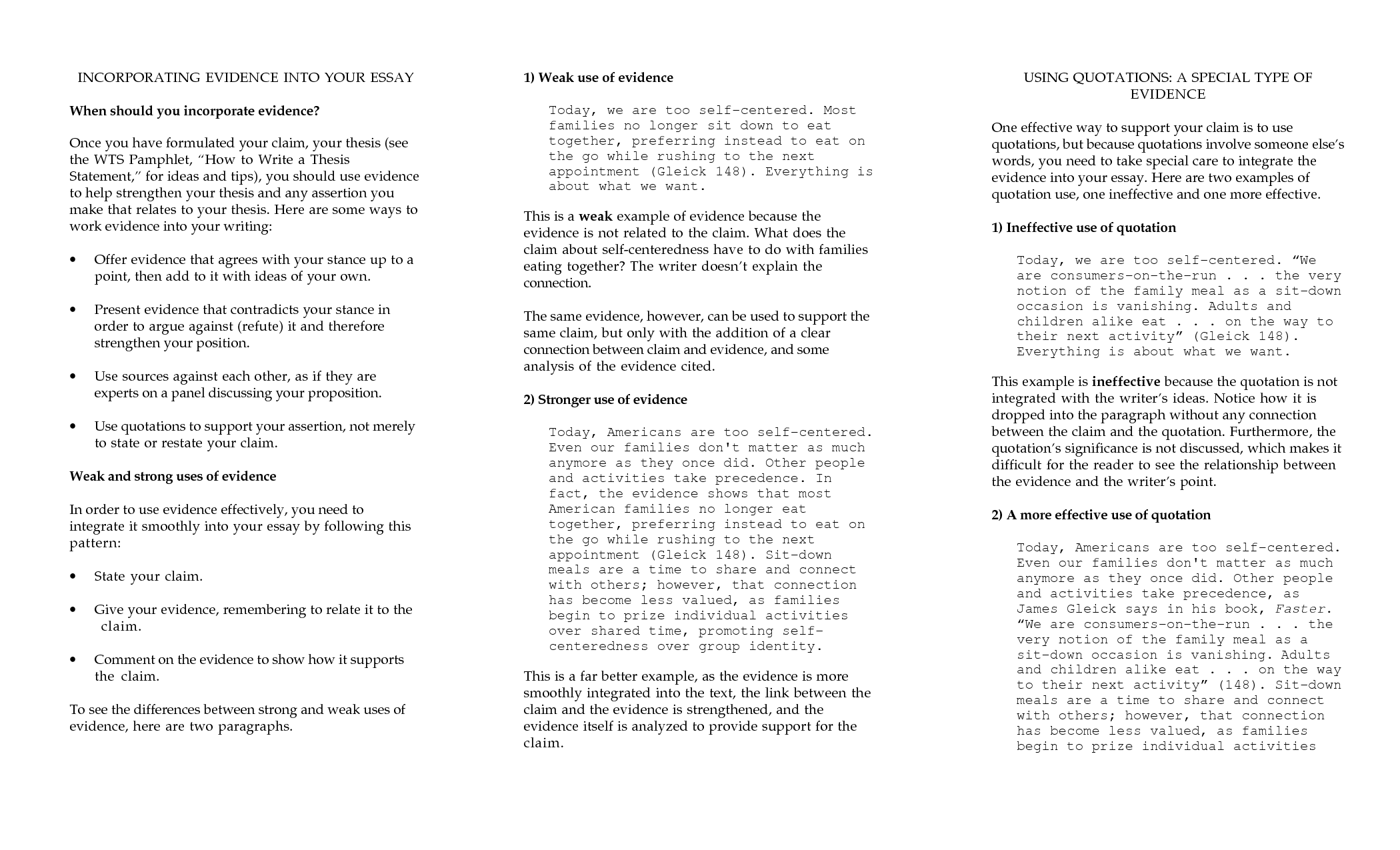 Delerm memory critique essay