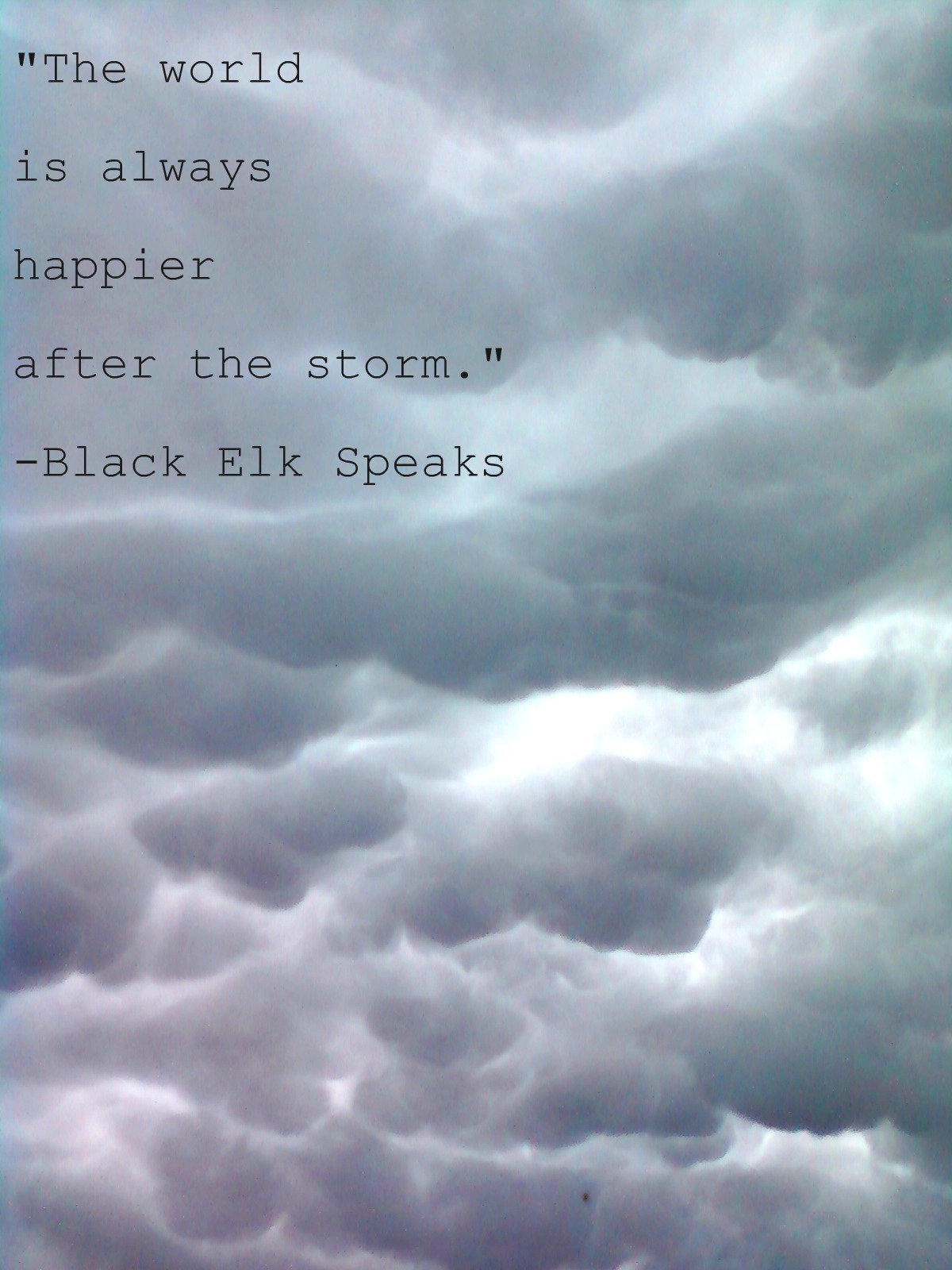 black elk speaks essay black elk speaks essay