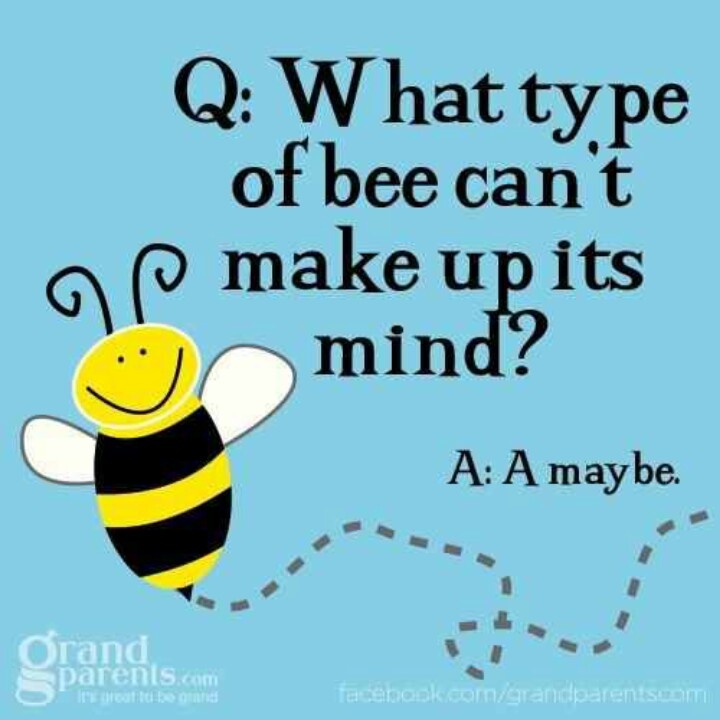 Funny Bee Quotes QuotesGram