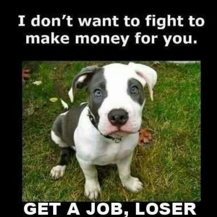 Pitbull Quotes And Beautiful. QuotesGram