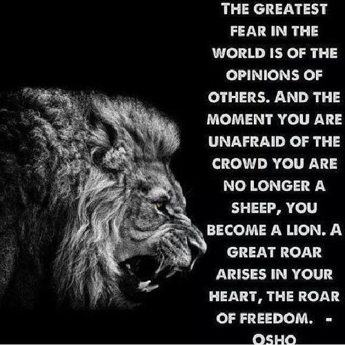 Motivational Quotes Lion And Sheep. QuotesGram