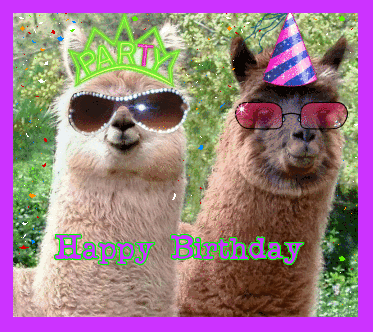 Image result for happy birthday gif llama