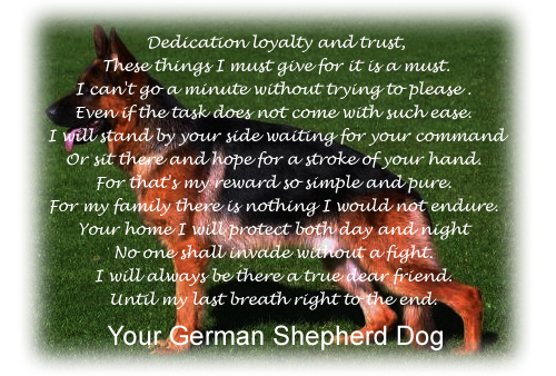 German Shepherd Quotes Poems. QuotesGram German Shepherd Quotes Poems. QuotesGram