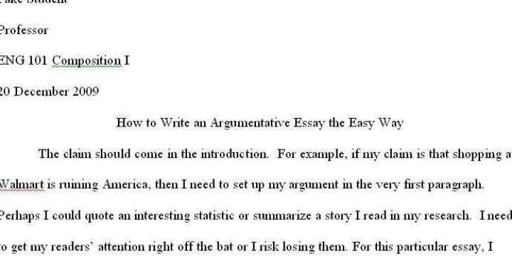 write an essay on if i was a president write an essay on if i was a president