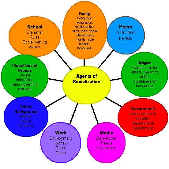 primary political socialization factors What is political socialization - definition, factors one of the primary agents of socialization in a person the process of political socialization. primary political socialization factors What is political socialization - definition, factors one of the primary agents of socialization in a person the process of political socialization.