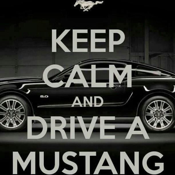 fords girls Check out the latest mustang and ford's news articles and updates at mustang 360. fords girls Check out the latest mustang and ford's news articles and updates at mustang 360.