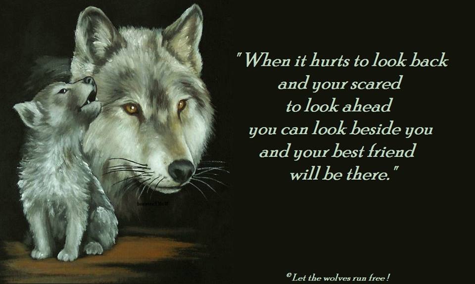 Wolf Love Quotes. QuotesGram