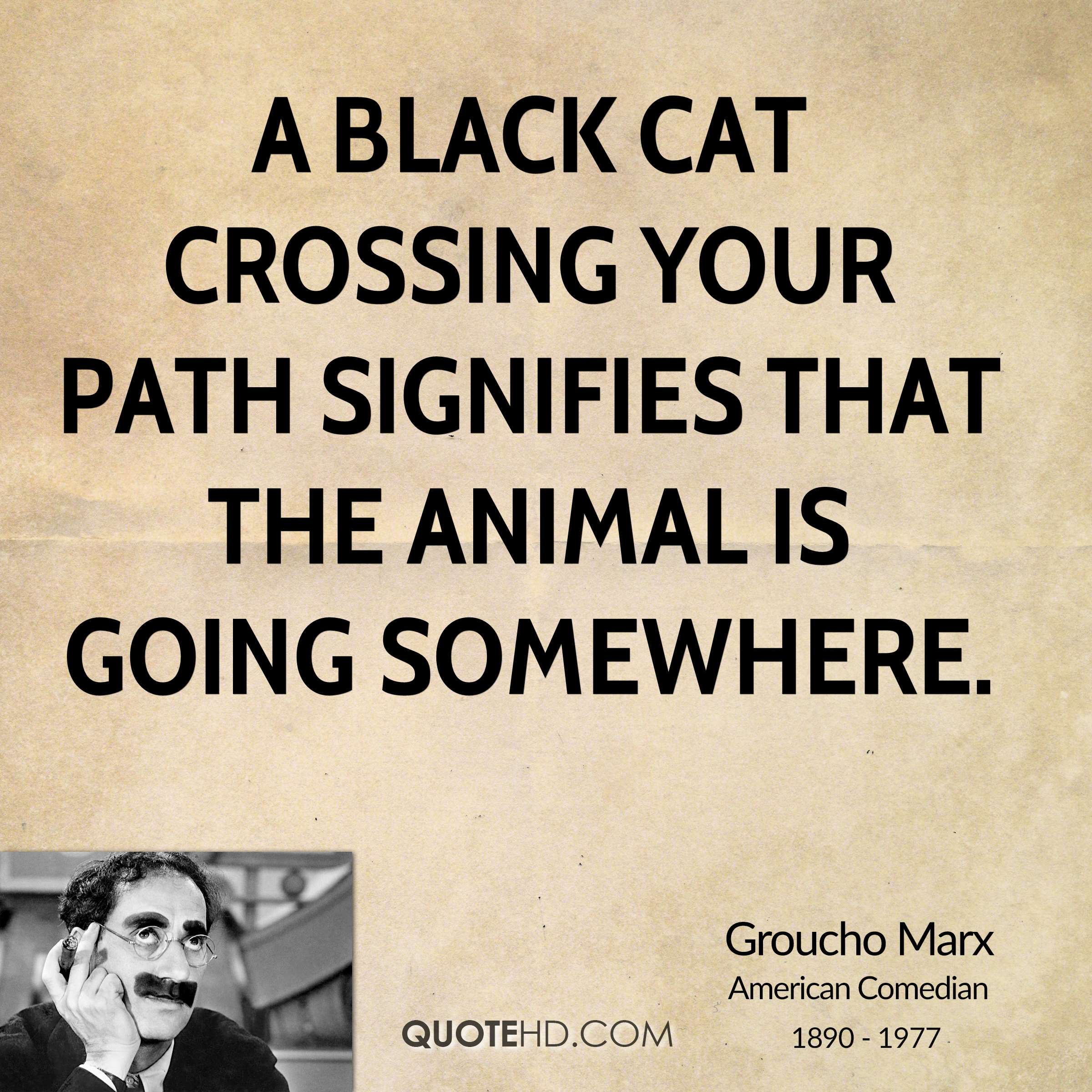 Groucho Marx Quote Black Cat Groucho Marx Quote Black Cat