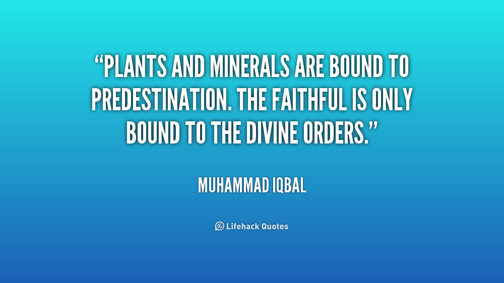 Muhammad Iqbal Quotes. QuotesGram