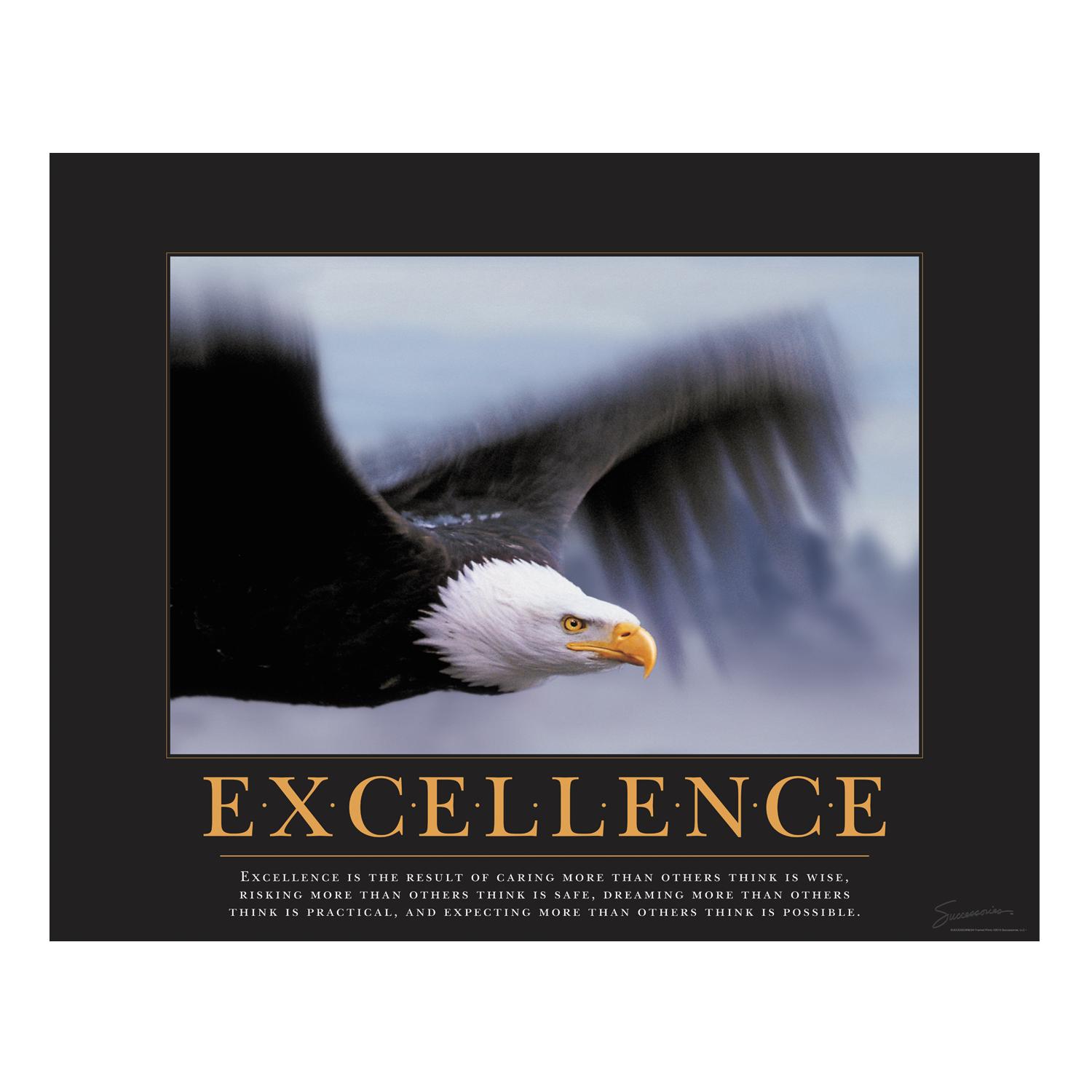 Inspirational Quotes About Excellence. QuotesGram