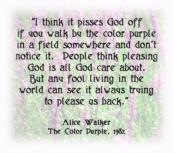 the color purple quotes with page numbers the color purple book quotes quotesgram the color purple quotes with page numbers the color purple book quotes quotesgram