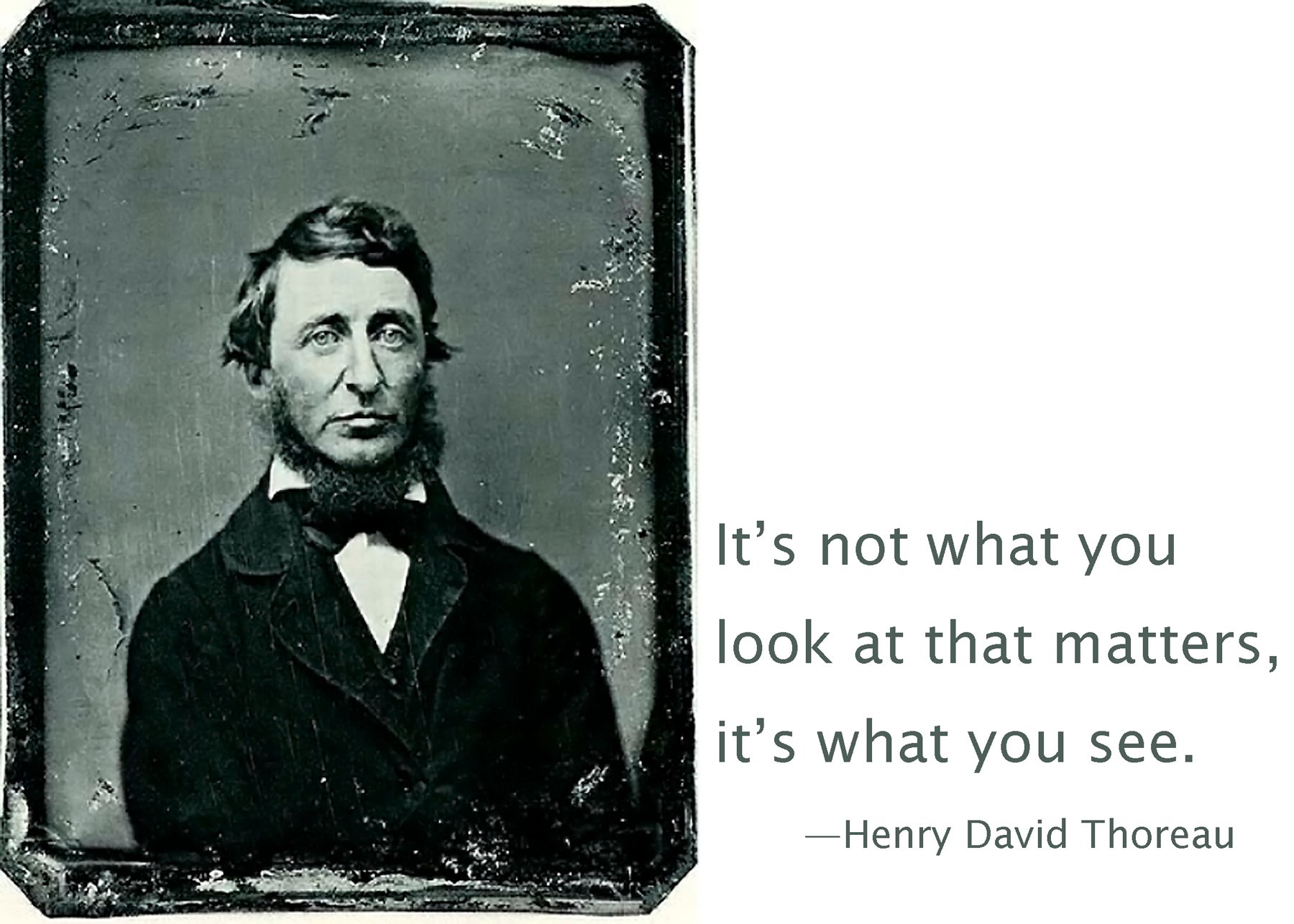 A biography of henry david thoreau and the importance of his works