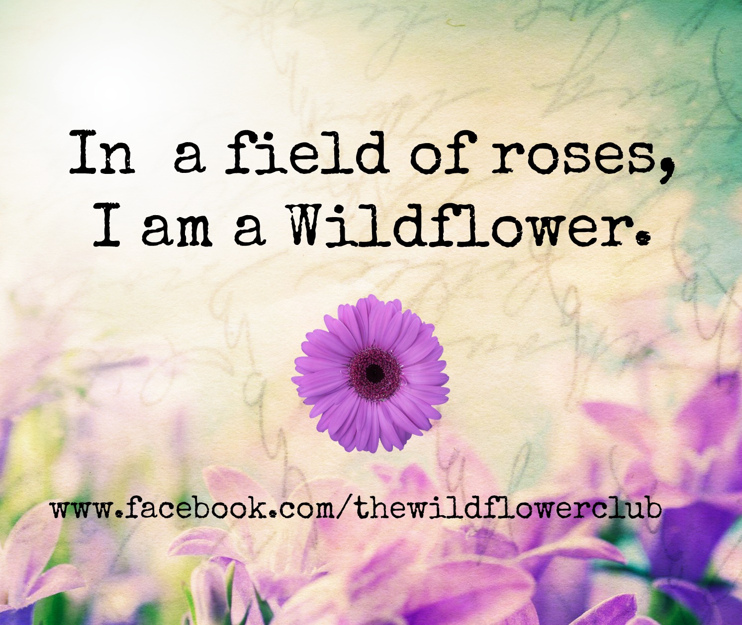 Wild Flower Quotes. QuotesGram