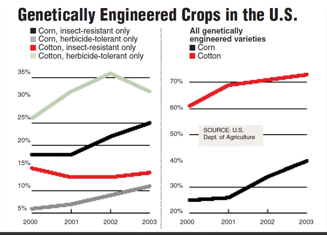 genetic engineering in agriculture essay genetic engineering in agriculture essay