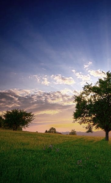 Quotes Nature God Created. QuotesGram Quotes Nature God Created. QuotesGram