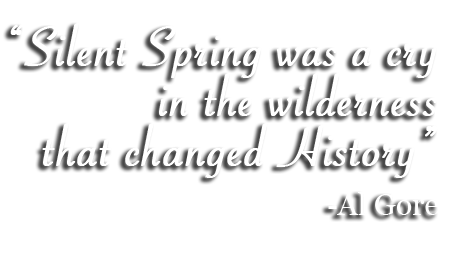 essays on silent spring by rachel carson essays on silent spring by rachel carson