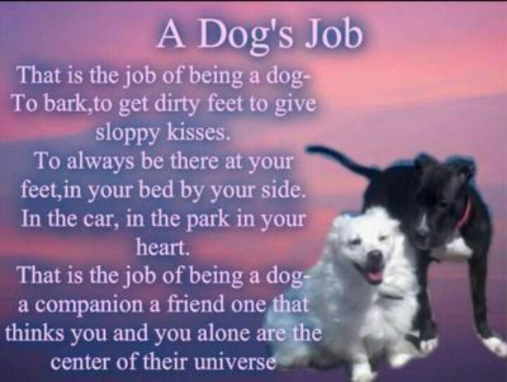 Quotes About Love And Dogs. QuotesGram