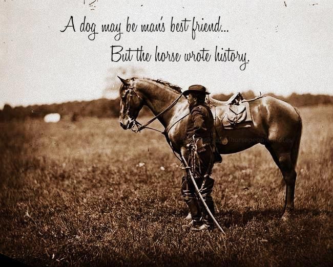 Famous Horse Quotes And Sayings. QuotesGram