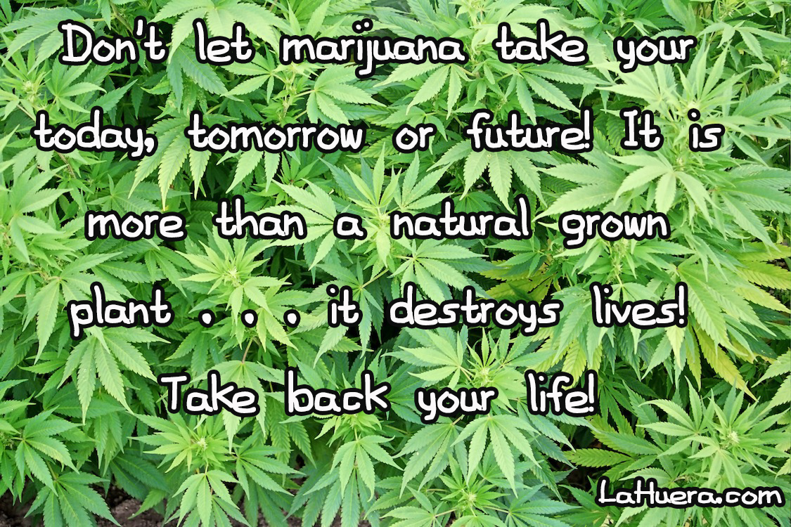 marijuana addiction At origins recovery center we know that marijuana addiction is common to many addicts need help with your pot addiction call to begin your recovery. marijuana addiction At origins recovery center we know that marijuana addiction is common to many addicts need help with your pot addiction call to begin your recovery.