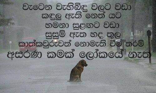 Broken Love Quotes Sinhala Pictures to Pin on Pinterest - PinsDaddy