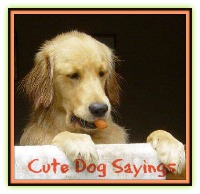 Cute Doggy Quotes. Q