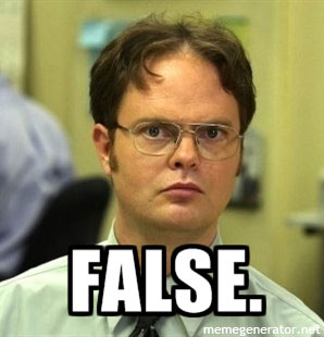 Image result for dwight schrute false