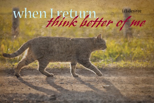 Warrior Cats Squirrelflight Quotes Warrior Cats Squirrelflight Quotes