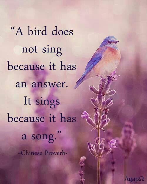 Chinese Quotes And Sayings. QuotesGram